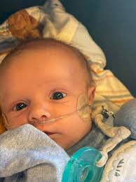 Milk for 4-month-old in Stg, Lehi pickup?