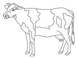 animal templates free premium templates cow coloring pages animal templates free coloring pages