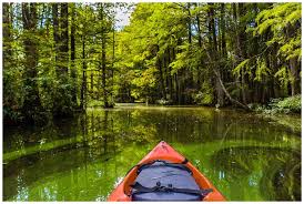 Everything You Need to Know About Kayaking at Trap Pond State Park -  abbyventure.com
