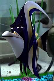 Here, you can find finding nemo coloring pictures for children, young people, and adults. In Finding Nemo 2003 Gill Is A Moorish Idol This Species Is Known To Not Handle Captivity Well So Him Being Th In 2021 Finding Nemo Pixar Movies Finding Nemo 2003