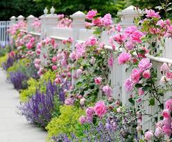 Zaun Und Mauer Im Garten Als Ein Lebendiger Akzent Blumenbeet Gestalten Garten Vorgarten
