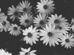 The most common black and white floral pattern material is cotton. Flowers Tumblr Black And White 59 New Ideas