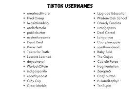 Tiktok Usernames 450 Cool Tiktok Usernames For Boys And Girls