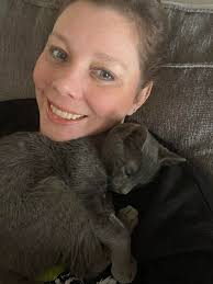 How to find a lost dog