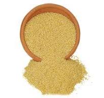Organic Foxtail Millet (Navane)