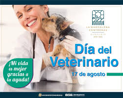 We did not find results for: 17 De Agosto Dia Del Alcaldia La Magdalena Contreras Facebook