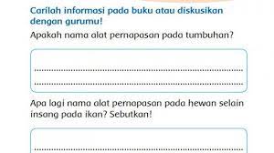 Berdasarkan bacaan tentang , temukan ide pokok dan kalimat pengembang demikian penjelasan mengenai kunci jawaban buku tema 1 kelas 5 sd/mi halaman 15, 17 anda juga bisa membaca : Kunci Jawaban Tema 1 Kelas 3 Sd Halaman 10 11 12 13 14 15 18 20 21 Alat Pernapasan Hewan Tumbuhan Tribunnews Com Mobile