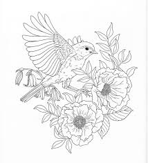 Multiple color palettes and a personal gallery of your own works, along two cowbirds coloring page from cowbird category. Nature Coloring Book Cinebrique