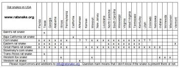 Corn Snake Weight Chart Corn Snake Feeding Chart By Age