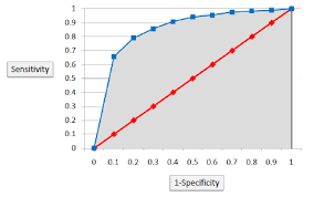 Model Evaluation