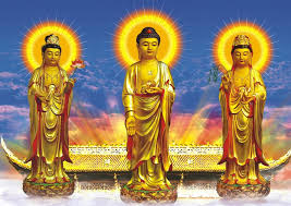 Image result for amitabha buddha pure land