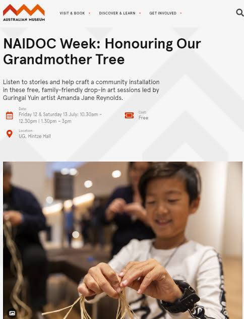 The Australian Museum's Family Friendly Mockery of Aboriginal People, Places and Culture Is Still Going Ahead – A Long Con, Gone on Too Long.