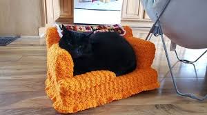 This easy crochet pet bed is great for beginners. You Can Crochet Your Cat A Tiny Couch With A Matching Granny Square Blanket Here S How