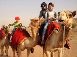 Dubai, located in the middle of dubai desert has chosen to be the local specialist of all kinds of desert safari. Dubai Camel Safari In The Desert Personal Recommendation World Travel Family