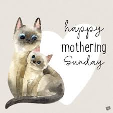 Mothering sunday church service many churches give the children in the congregation a little bunch of spring flowers to give to their mothers as a thank you for all their care and love throughout the year. Mothering Sunday Wishes What You Mean To Us