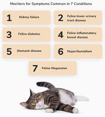 If you add more litter, you're creating a larger barrier between your cat's messes and the inner surfaces of the. This Smart Litter Box Uses Ai Recognition Sensors To Prevent 7 Common Cat Illnesses Yanko Design