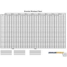 huge 22 x 34 laminated reusable exercise workout wall chart