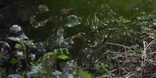 Kisah Prajurit Kopassus Tni Lebih Takut Pelatih Daripada Setan Merdeka Com