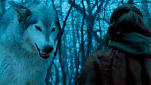 When the snows fall and the white winds blow, the lone wolf dies, but the pack survives.the only house who wants no any throne. From The Maester S Desk The Lone Wolf Dies But The Pack Survives Watchers On The Wall A Game Of Thrones Community For Breaking News Casting And Commentary