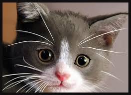 Here you can explore hq realistic cat drawings transparent illustrations, icons and clipart with filter setting like size, type, color etc. How To Draw A Realistic Cat Draw Real Cat Step By Step Drawing Guide By Dawn Dragoart Com