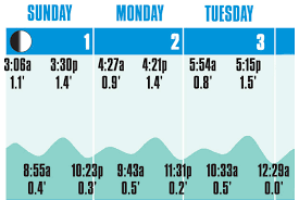 74 hand picked google calendar tide chart