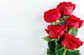 Bouquet Of Red Roses On White Wooden Background In 2020 Red Roses Beautiful Red Roses Flower Texture