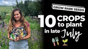 Fortunately, there are many perennials that bloom in late summer, including coneflower, asters, mums, russian sage, cimicifuga, sedum, rudbeckia, and phlox. Top 10 Crops To Plant In Late July Youtube