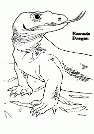 King komodo is an evil mutant komodo dragon the enemy of turtles and a servant of the go komodo. Komodo Dragon Coloring Pages Coloring Home