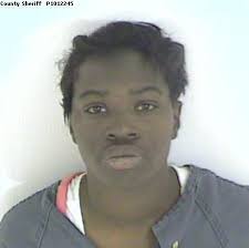 MUG SHOTS: Chatham County warrant roundup nets 18 arrests