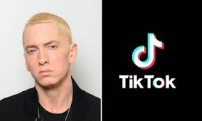 Jetzt eine riesige auswahl an gebrauchtmaschinen von zertifizierten händlern entdecken Who Is Khabane Lame Biography Personal Life And Tiktok Phenomenon Knowinsiders