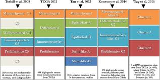 The signs usually aren't that noticeable. Ovarian Cancer Novel Molecular Aspects For Clinical Assessment Sciencedirect