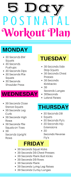 5 Day Postnatal Workout Plan To Help You Get Rid Of The Baby Weight And Tone Up All Workouts C Postnatal Workout Post Natal Workout Plan Prenatal Workout Plan