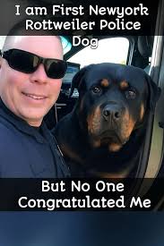 Lovely picture 🥰💕🥰