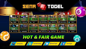 Pin On Evotogel