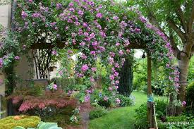 Voute Avec Le Rosier Velchenblau Garden Landscape Design Garden Design Landscape Design