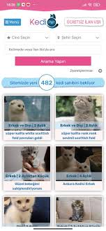 Kedipet Com Yavru Kedi Sahiplenme Ilan Sitesi For Android Apk Download