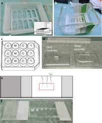 Tagged pixel art (3,696 results). Single Particle Tracking Photoactivated Localization Microscopy Of Membrane Proteins In Living Plant Tissues Nature Protocols