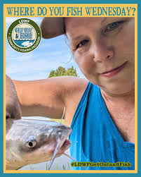 Want to learn techniques for catching catfish in the heat of the summer?  Register for one of our Intermediate Catfishing courses at:  https://louisianaoutdoors.com/events #WDYFW #wheredoyoufishwednesday  #ldwfgetoutandfish #louisianafishing #fishing ...