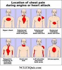 The epidermis is the outermost layer that provides a protective, waterproof seal over the body. Location Of Chest Pain Chart Nclex Quiz