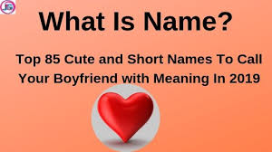 Top 85 Cute And Short Names To Call Your Boyfriend With Meaning In 2019