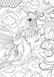 Identify 15 different creatures in these animal coloring sheets. Adult Animal Coloring Pages Coloring Home