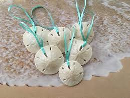 Check spelling or type a new query. Sand Dollar Christmas Tree Ornaments With Aqua Ribbon Set Of 6 Small Glittered Beach Theme Decorations Buy Online In Bahamas At Bahamas Desertcart Com Productid 50324132