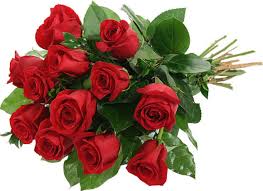 Search for results at findinfoonline.com now! Sending Red Roses To Dubai Made Easy Through Our Prompt Flower Delivery Service We Specialize In Fresh And Fragrant Flower Red Roses Flowers Red Rose Bouquet