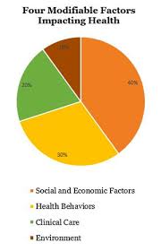 piechart the rural monitor