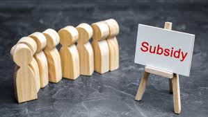 Government Intervention in the Private Sector