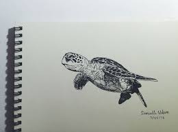 545225b16101b1dab97481ee54cd7469 Jpg 736 551 Sketch Book Sea Turtle Drawing Turtle Drawing
