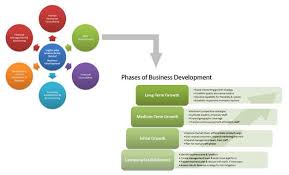 David Schechtmann Roles And Responsibilities Of A Business Developme Business Development Strategy Business Development Business