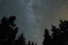 Δωρεάν φωτογραφία: το βράδυ, ουρανό, σκοτεινό, δάσος, αστέρια