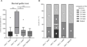 We believe in helping you find the product that is right for you. Frontiers Olfactory Performance As An Indicator For Protective Treatment Effects In An Animal Model Of Neurodegeneration Frontiers In Integrative Neuroscience