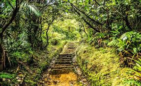 Morne trois pitons national park is a tropical forest with scenic volcanic features. Dominica In Der Karibik Das Zauberhafte Inselparadies Urlaubsguru